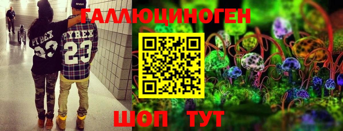 Псилоцибиновые грибы мухоморы  Галлюциногенные грибы Psilocybine cubensis  Куйбышев  Вход с VPN 